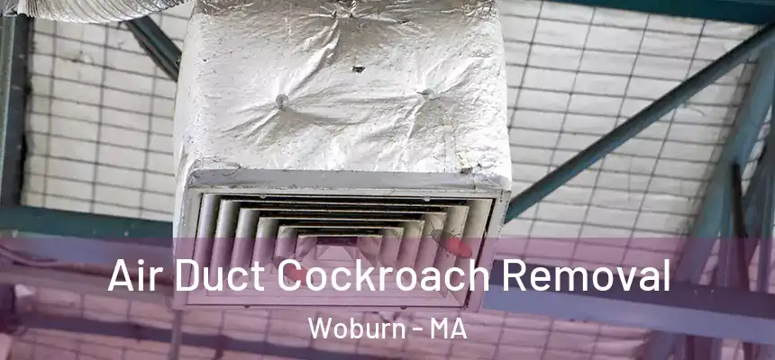 Air Duct Cockroach Removal Woburn - MA