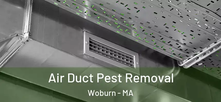 Air Duct Pest Removal Woburn - MA