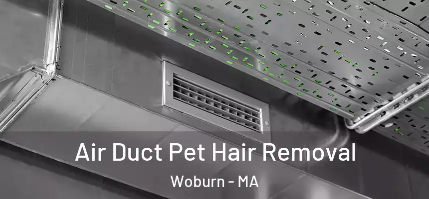 Air Duct Pet Hair Removal Woburn - MA