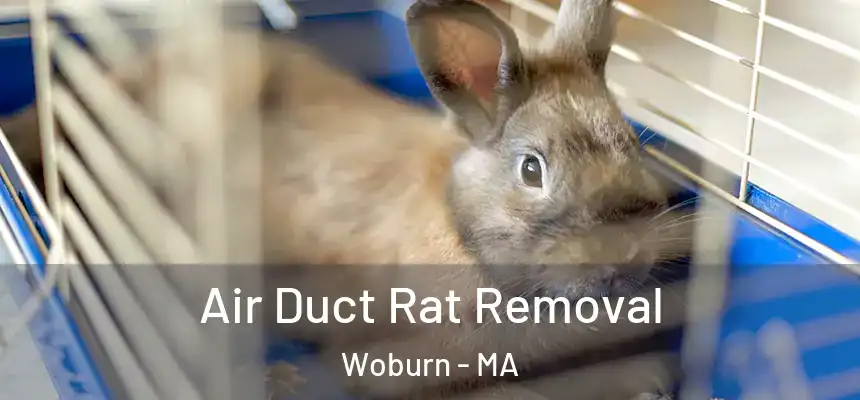  Air Duct Rat Removal Woburn - MA
