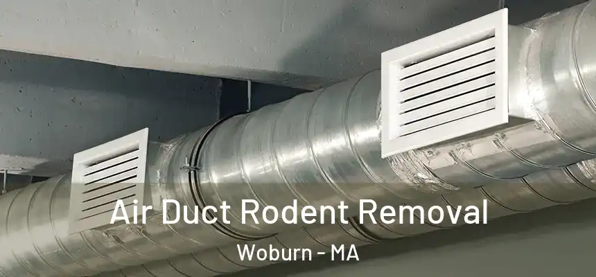  Air Duct Rodent Removal Woburn - MA