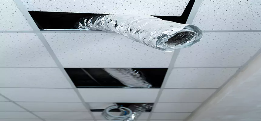 Our Air Duct Pet Hair Removal Services in Woburn, MA