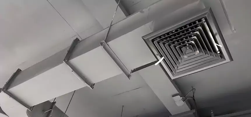 Restorative Allergy Relief Vent Cleaning – Coil, Blower & Housing Detail in Woburn