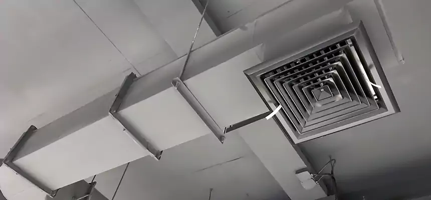 Our Pest Removal From Ducts Services in Woburn, MA