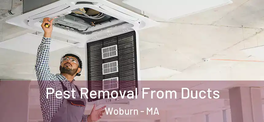 Pest Removal From Ducts Woburn - MA