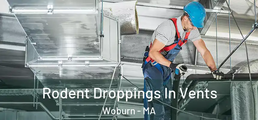  Rodent Droppings In Vents Woburn - MA