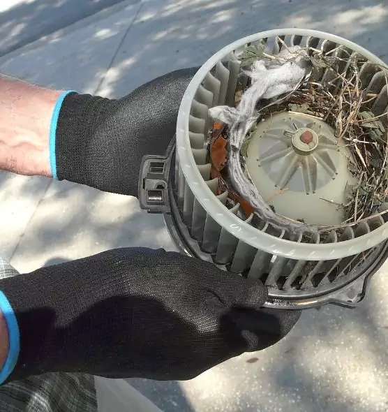 About Air Duct Mice Removal in Woburn, MA