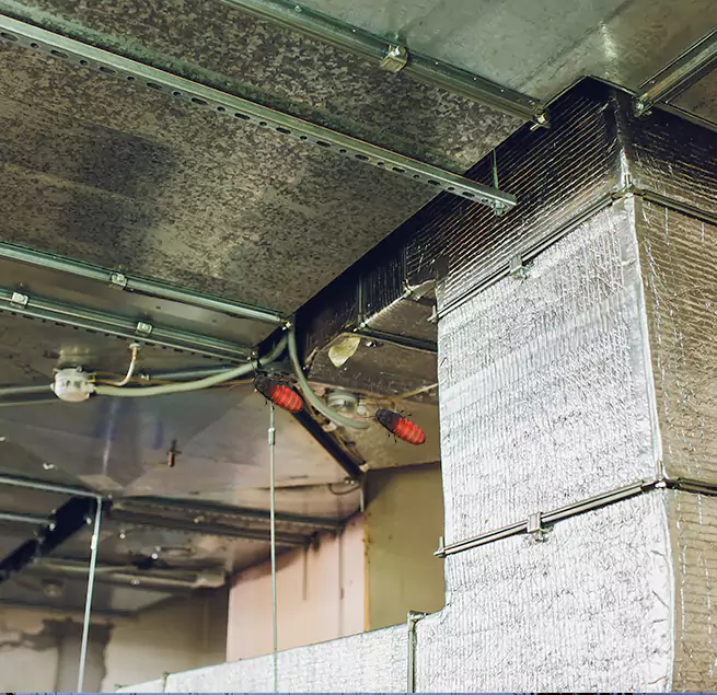 Why Homeowners & Businesses Trust Us in Woburn, MA?