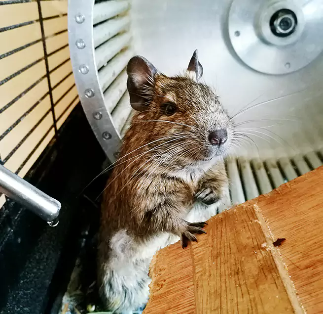 Why Homeowners & Businesses Trust Us Woburn, MA?