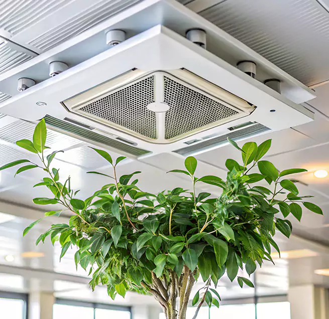 Why Homeowners & Businesses Trust Us in Woburn, MA?